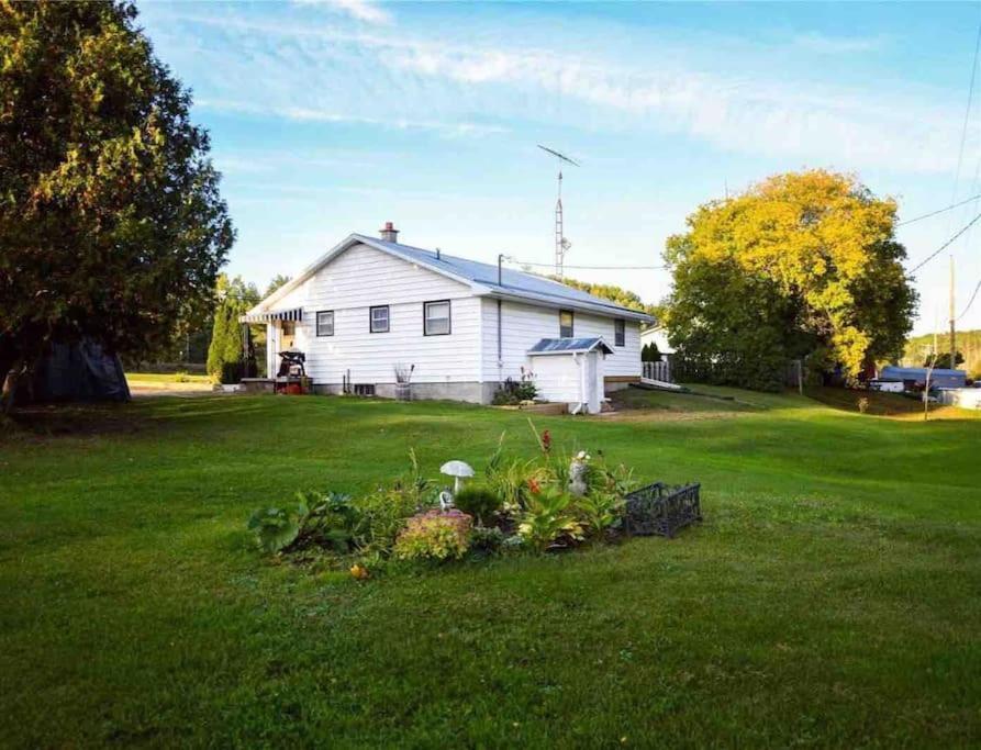 Private Cottage With Huge Private Dog Park! Barrys Bay Extérieur photo