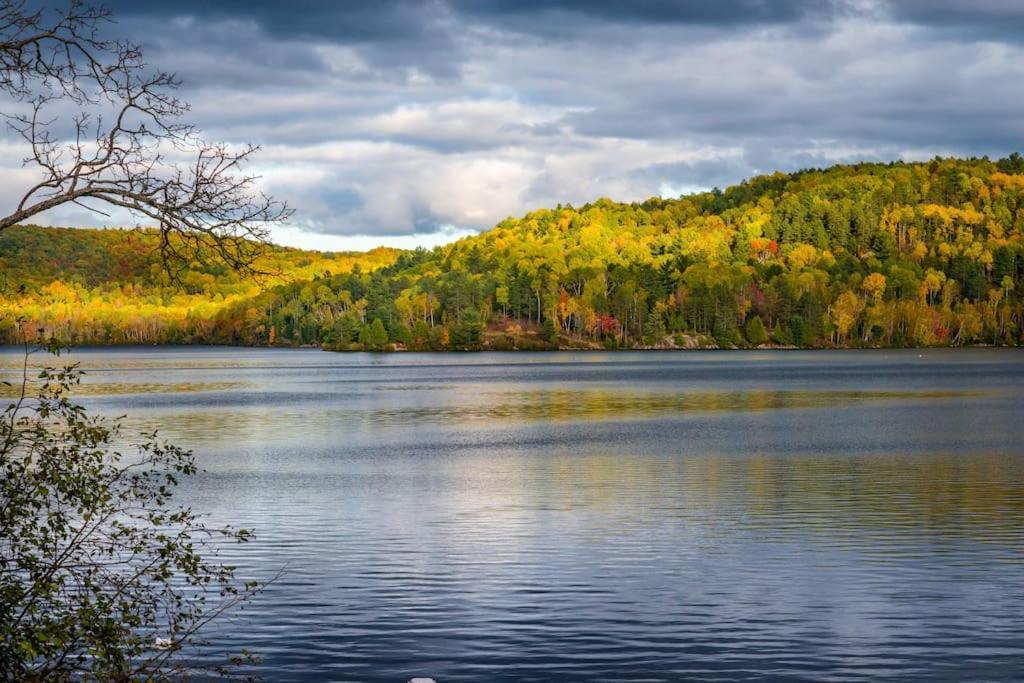 Private Cottage With Huge Private Dog Park! Barrys Bay Extérieur photo