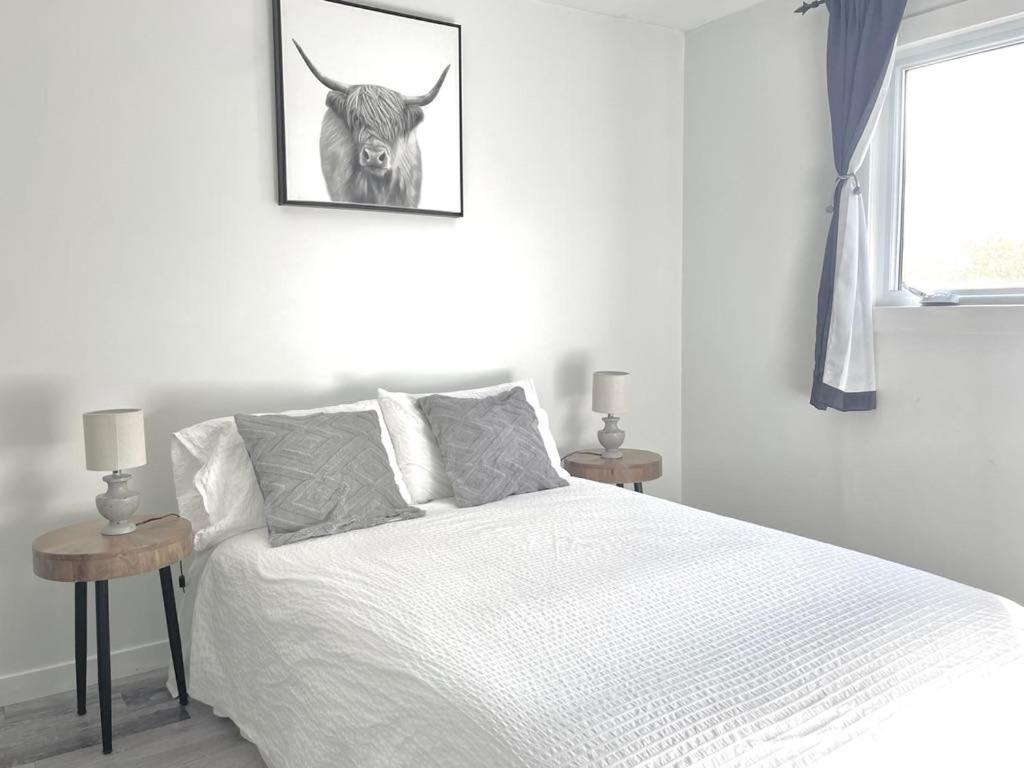 Private Cottage With Huge Private Dog Park! Barrys Bay Extérieur photo
